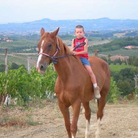 Agriturismo Podere La Marronaia サン・ジミニャーノ エクステリア 写真