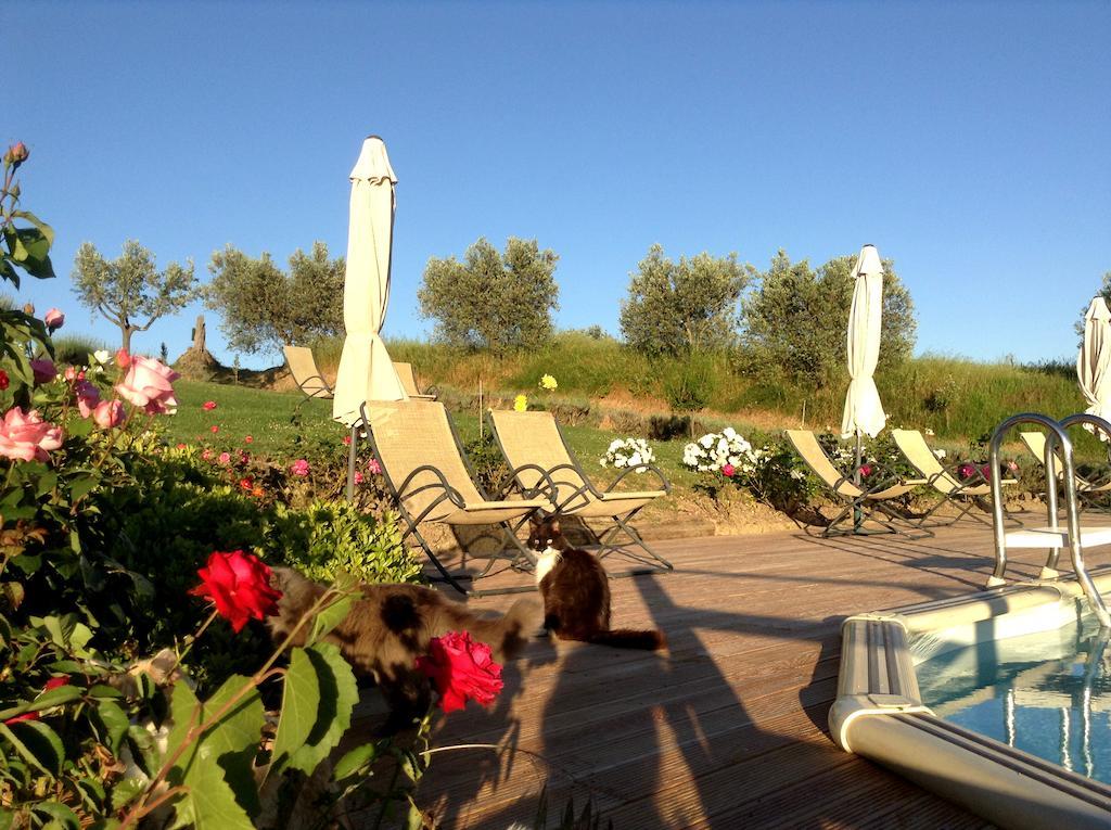 Agriturismo Podere La Marronaia サン・ジミニャーノ エクステリア 写真