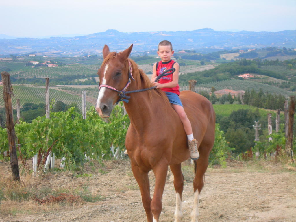 Agriturismo Podere La Marronaia サン・ジミニャーノ エクステリア 写真