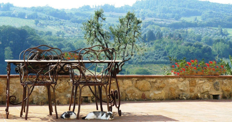 Agriturismo Podere La Marronaia サン・ジミニャーノ エクステリア 写真