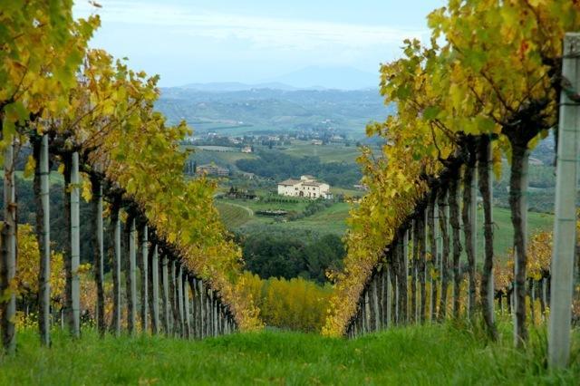 Agriturismo Podere La Marronaia サン・ジミニャーノ エクステリア 写真